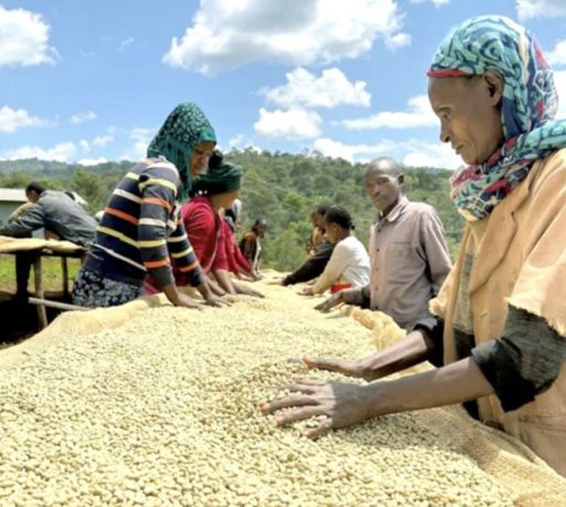 Ethiopia Yirgacheffe Idido Yismashewa Anaerobic Natural