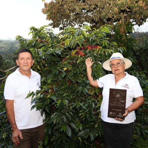 Colombia Raquel Lasso Cosmic Gesha