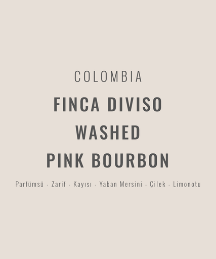 Colombia – Finca Diviso Washed Pink Bourbon