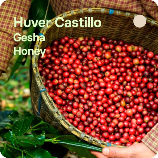 Huver Castillo, Colombia