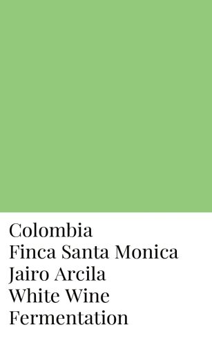 Colombia Jairo Arcila White Wine Fermentation