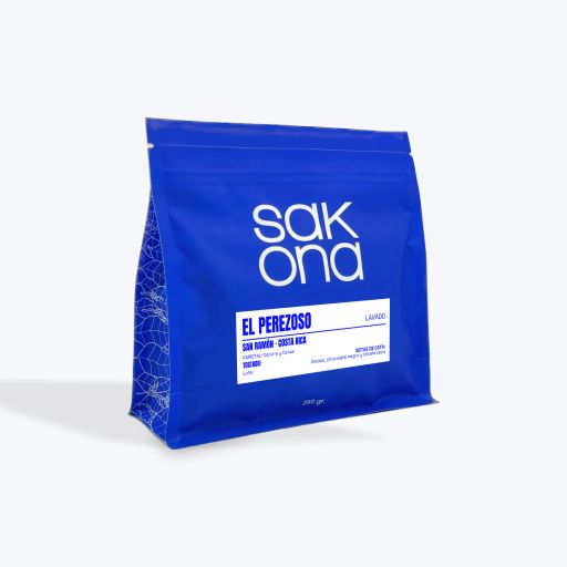 El Perezoso - Costa Rica