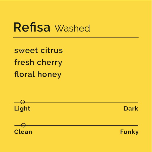Refisa - Washed