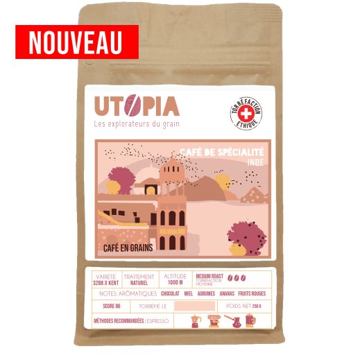 INDE | CHIKMAGALUR - ESPRESSO