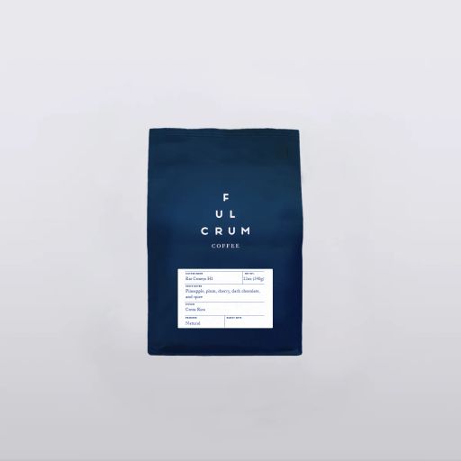 Costa Rica Rio Conejo H1