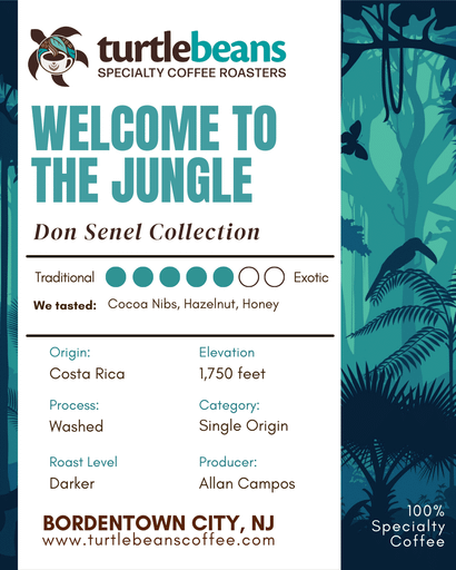 Welcome to the Jungle