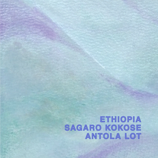 Ethiopia Sagaro Kokose Antola