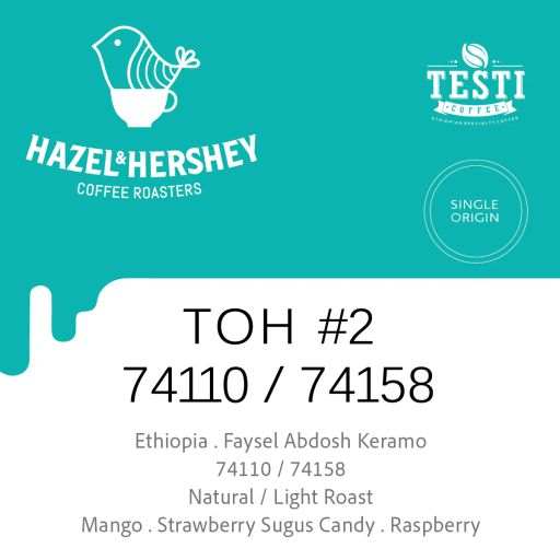 Ethiopia TOH #2 Faysel Abdosh Keramo 74110 / 74158 Natural