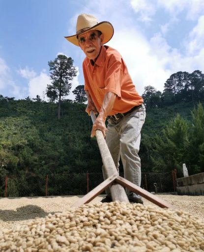 Guatemala La Garita SHB