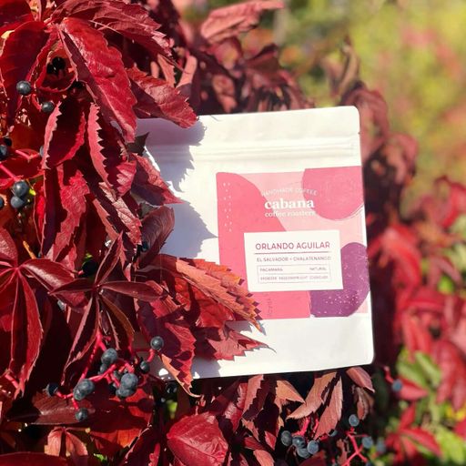 El Salvador | Orlando Aguilar