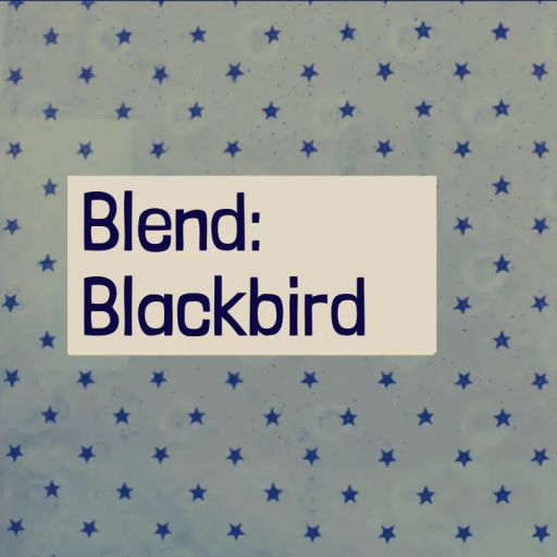 Blackbird