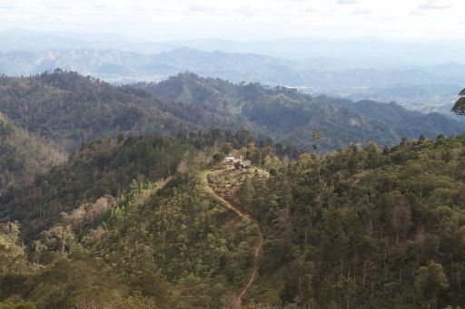 Nicaragua Azul y Blanco