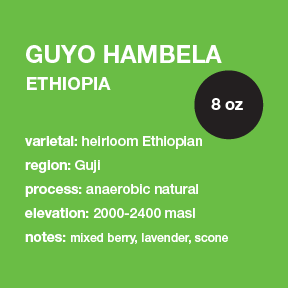 ETHIOPIA Guyo Hambela