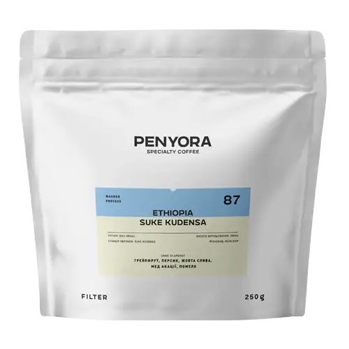 ETHIOPIA SUKE KUDENSA FILTER