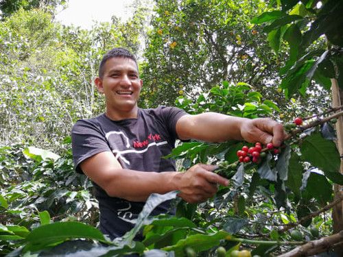 Finca Loma Linda, Inzá, Colombia - Washed Castillo