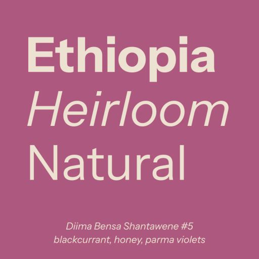 Ethiopia (Shantawene #5)