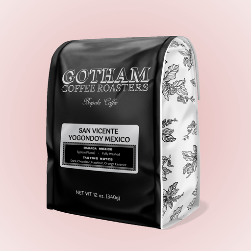 Mexico San Vicente Yogondoy