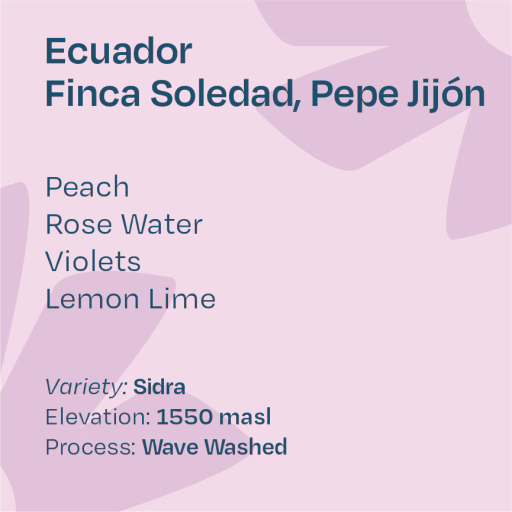 Ecuador Pepe Jijón Sidra Wave