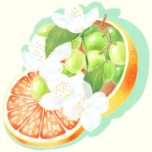 Gesha - Washed - Finca Los Angeles