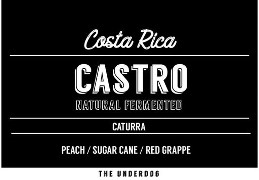 Costa Rica, Castro Especial
