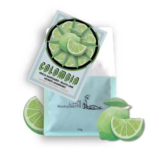 Colombia | Finca Santuario - Black Lime