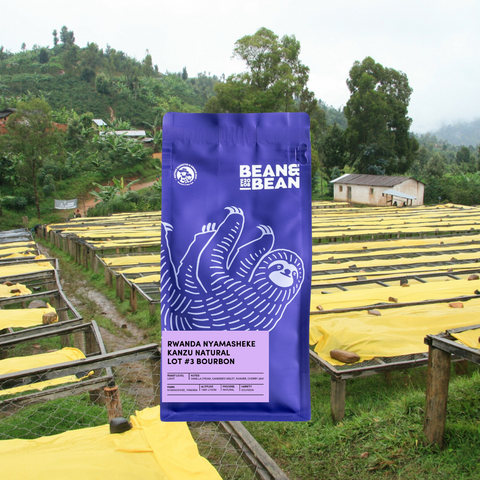 Rwanda Nyamasheke Kanzu Natural Lot #3 Bourbon