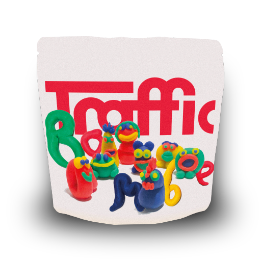 Basha Bekele Duwancho