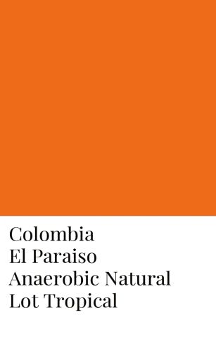 Colombia El Paraiso Anaerobic Fermentation Natural Lot Tropical
