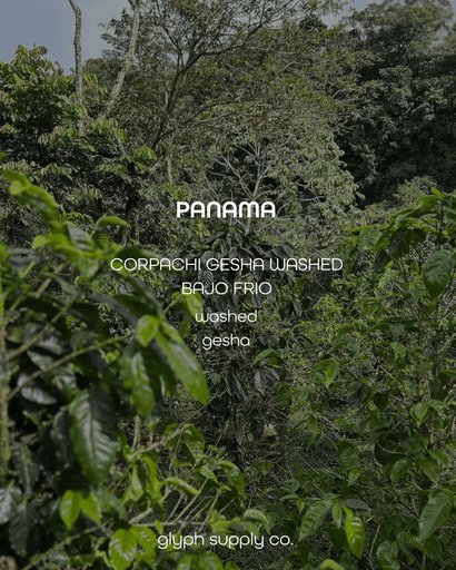 Corpachi Gesha Washed Bajo Frio