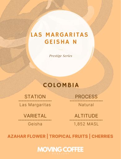 Las Margaritas Geisha N