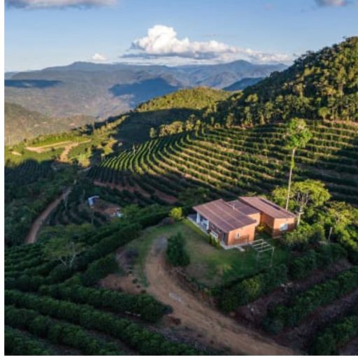 Bolivia - Las Alasitas - Coconatural Geisha