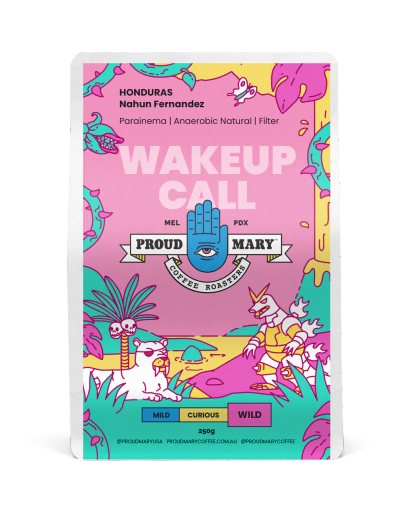 HONDURAS | Nahun Fernandez | Parainema | Anaerobic Natural