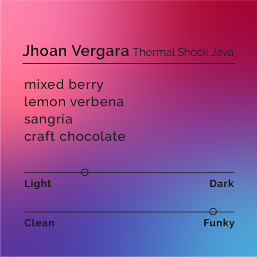 Jhoan Vergara - Thermal Shock Java