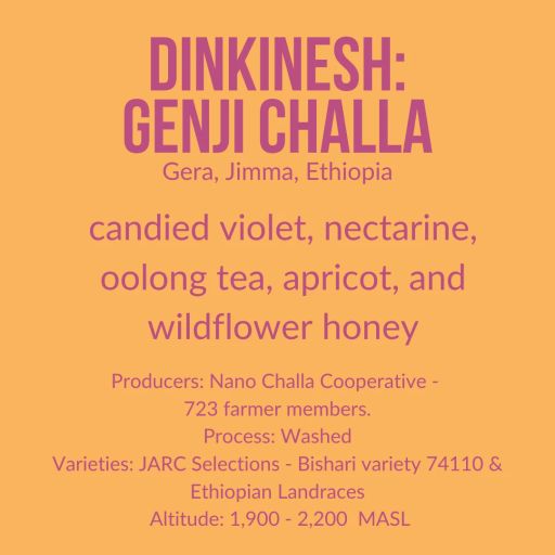 Dinkinesh: Genji Challa