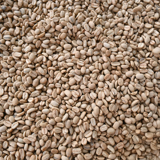 Guatemala Finca La Hermosa Orange Gesha Washed