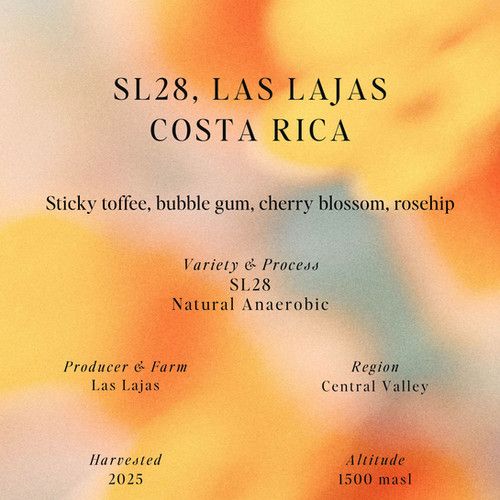 SL28, Natural Anaerobic, Las Lajas