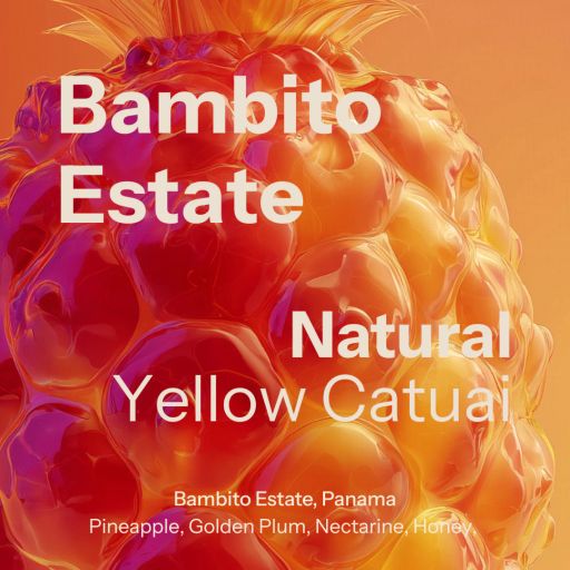 Bambito YCN (Panama)