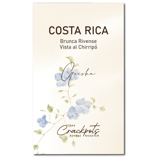 Costa Rica Brunca Rivense Vista El Chirripo Washed Geisha