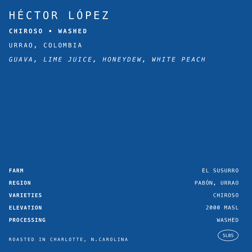 Héctor López Chiroso • Washed