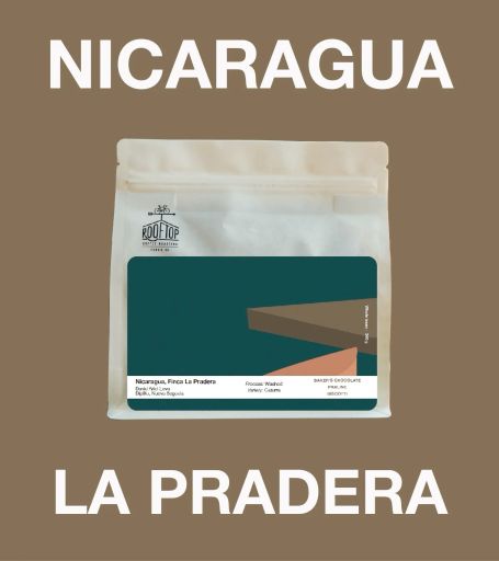 Nicaragua, Finca Pradera Caturra