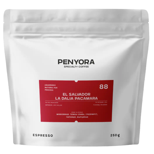 EL SALVADOR LA DALIA 96h anaerobic FILTER