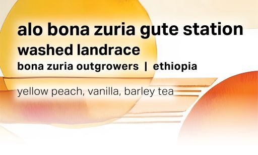 Alo Bona Zuria Gute Station - Washed Landrace