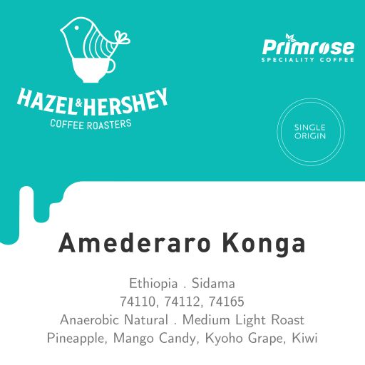 Ethiopia Amederaro Konga