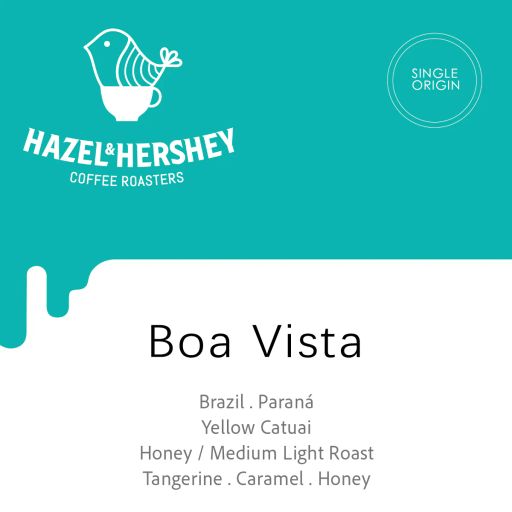Brazil Paraná Boa Vista Honey