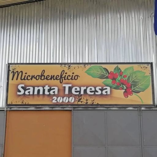 Costa Rica - Santa Teresa 2000 Geisha