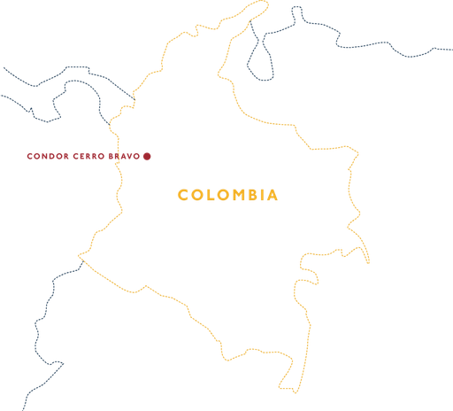 Colombia Condor Cerro Bravo Co2 Decaf
