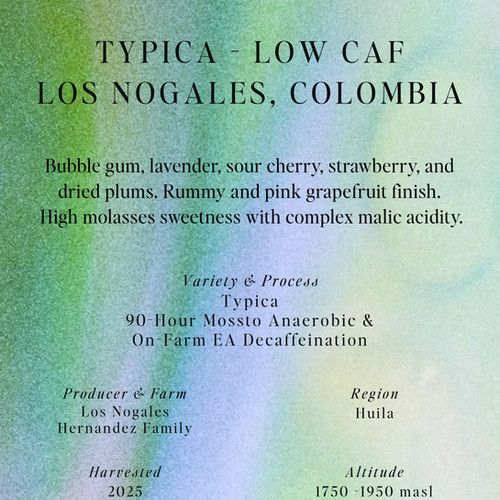 Low Caf, Typica, Los Nogales, Colombia
