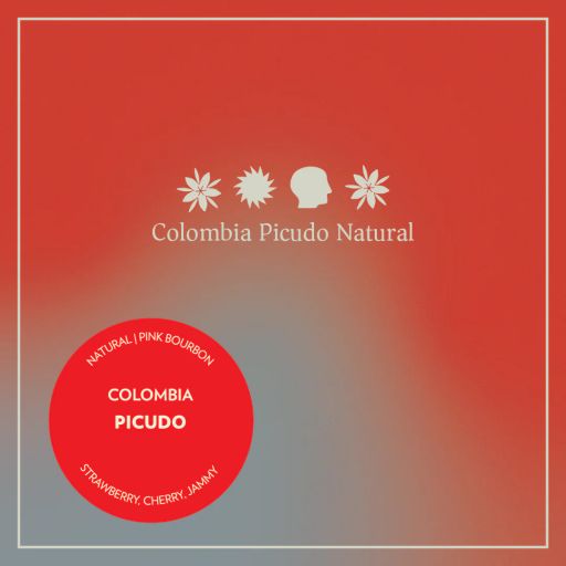 Colombia Picudo Natural Pink Bourbon