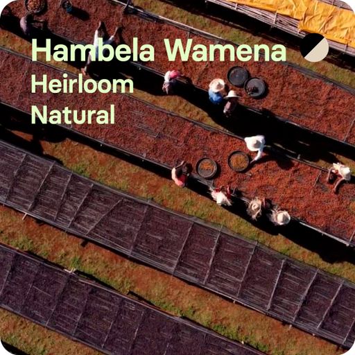 Hambela Wamena