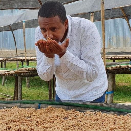 Ethiopia Cup of Excellence #25【COE】